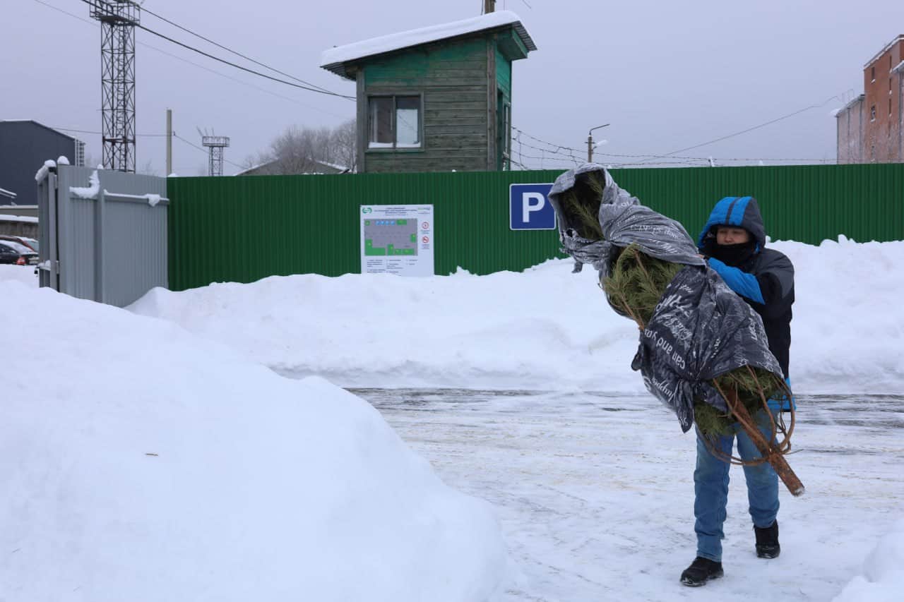 На площадке «Мегабак» установили пункт приёма ёлок