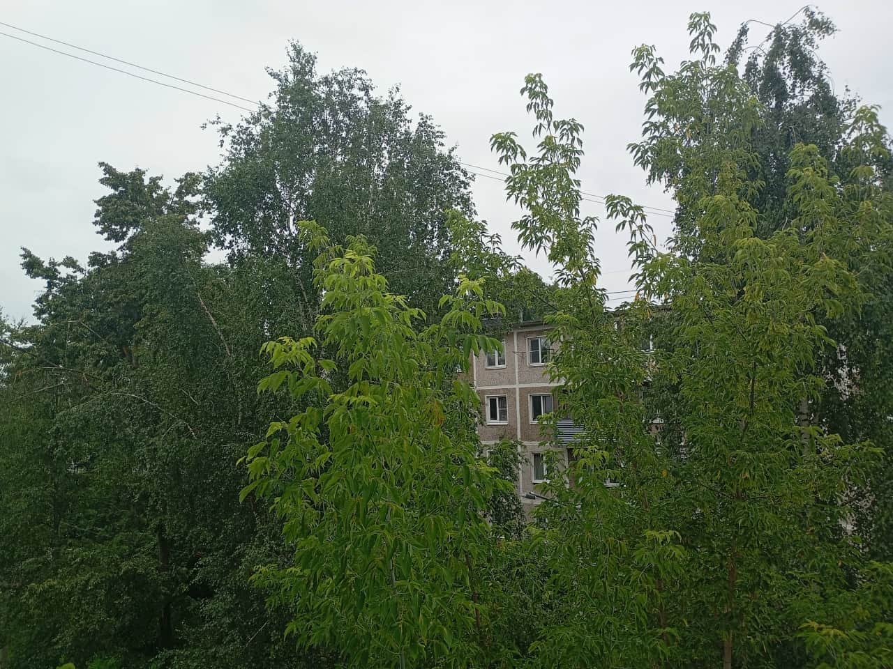 В Подмосковье похолодает: ночи до +9 °C, дни до +24 °C