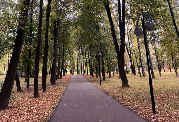 В Подмосковье — первые заморозки. Ночью до −1°C