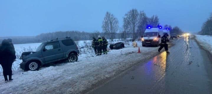 Две серпуховские девочки погибли в жестоком ДТП