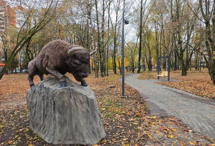 Белка, лось, кабан и павлин ждут серпуховичей в обновленном парке Питомник