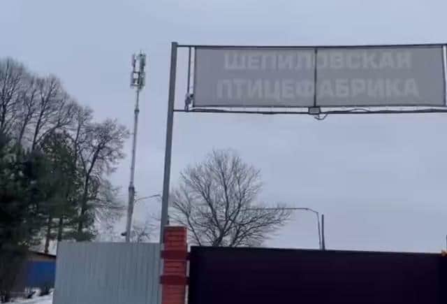 В Шепилово взяли пробы воды после жалоб на массовую гибель рыбы