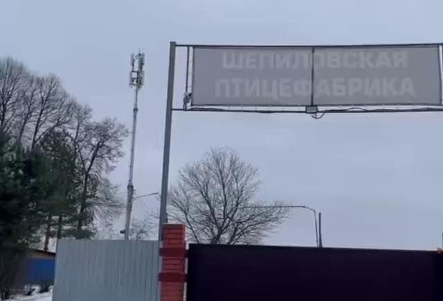 В Шепилово взяли пробы воды после жалоб на массовую гибель рыбы