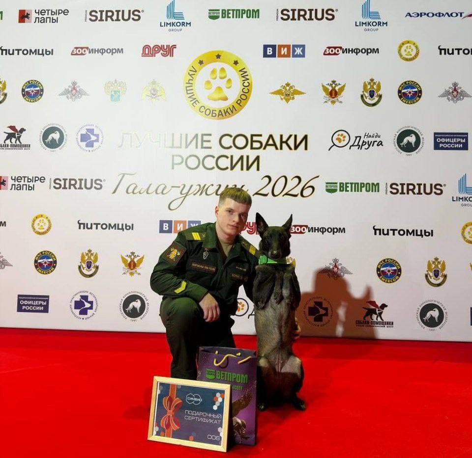 Выпускник Губернского колледжа победил в конкурсе «Лучшие собаки России 2025»