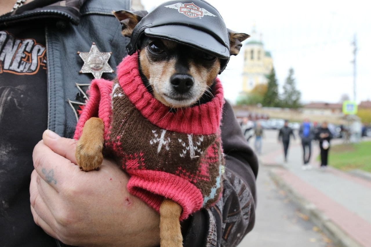 На дорогах Подмосковья: проверки для байкеров и грузовиков