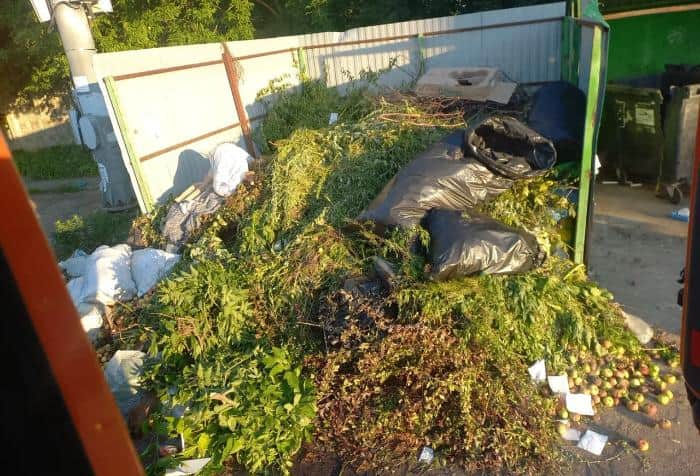 Верховный суд запретил выбрасывать ветки в обычные баки