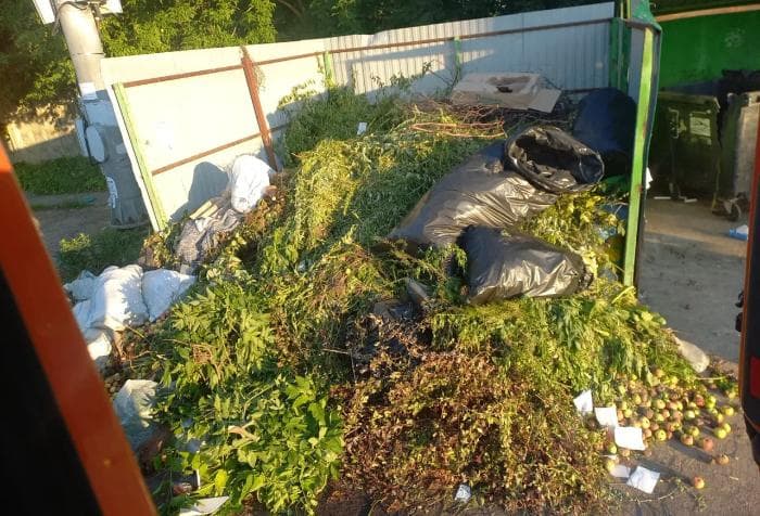 Верховный суд запретил выбрасывать ветки в обычные баки